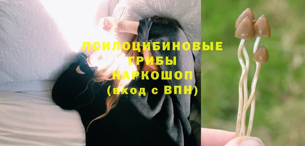 дурь Алексин